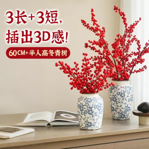 爆爆爆果冬青树 5棵30枝 | 新客福利 商品图1