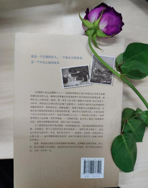 柠檬树：一个阿拉伯人 一个犹太人和一个中东心底的故事 三联书店 商品图2