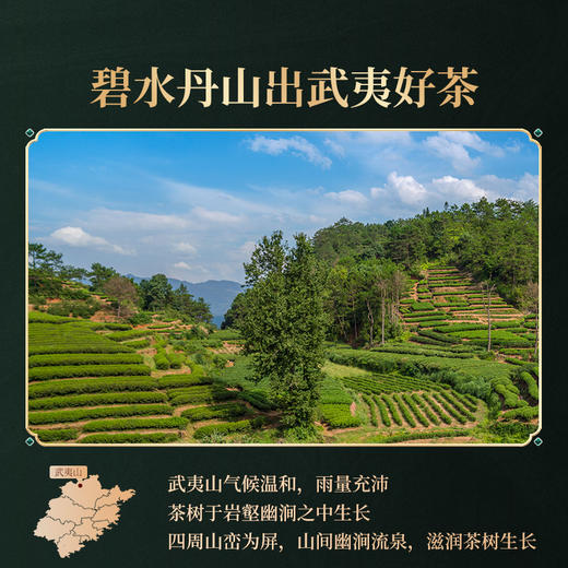 岩语 厚韵中火岩茶水仙 特级武夷正宗乌龙茶盒装送礼144g 商品图2