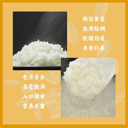 【辽垦 盘山农垦】盘锦大米 碱地蟹田米2.5kg 商品图2