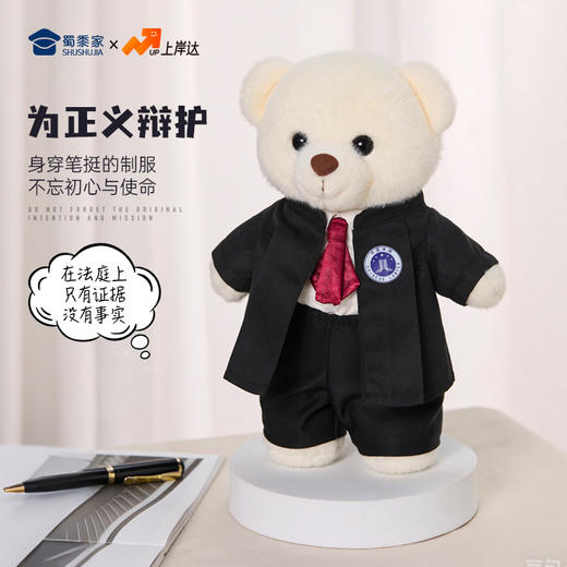 【律师站姿熊】可定制创意毛绒职业小熊公仔儿童玩具服装可脱送礼礼物 商品图2