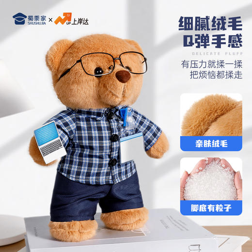 【程序员站姿熊】可定制创意毛绒职业小熊公仔儿童玩具服装可脱送礼礼物 商品图3