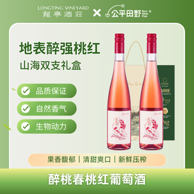 龙亭醉桃春桃红葡萄酒 双支礼盒装