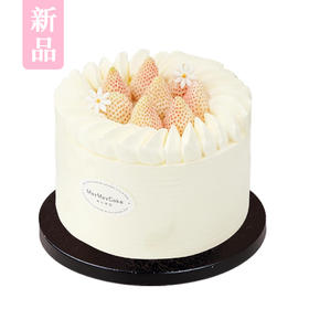 淡雪・春日和光【A4972】