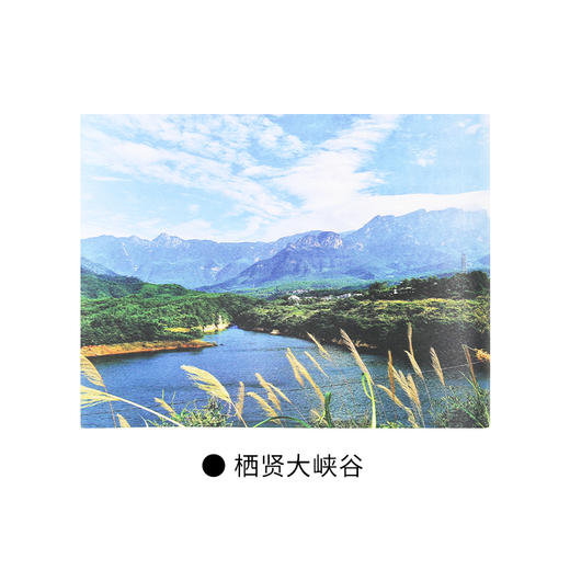 庐山禅行 杨振雩著 三联书店官方旗舰店 商品图4