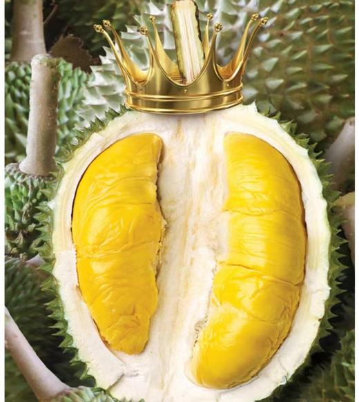 【包邮】马来西亚彭亨州 猫山王榴莲 D197液氮锁鲜冷冻AA果 整颗原果进口 商品图1