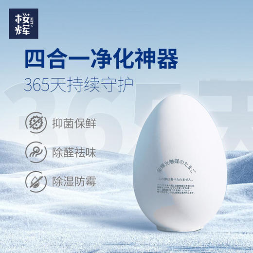 日本进口樱辉冰箱除味抑菌欧壳蛋 商品图0