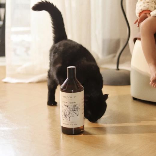 [屁侠推荐]新西兰LYCOCELLE绽家地板清洁剂 地板瓷砖专用 升级浓缩版 1：100稀释使用 每个订单赠送一个250ml喷瓶 商品图2