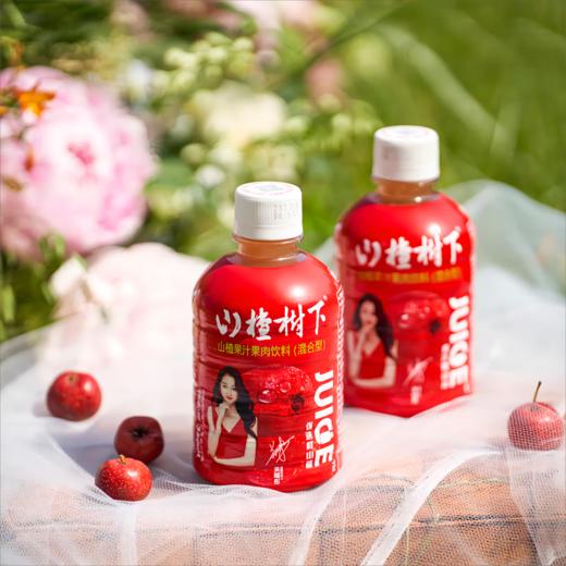 冠芳山楂树下山楂汁350ml*12瓶 商品图1