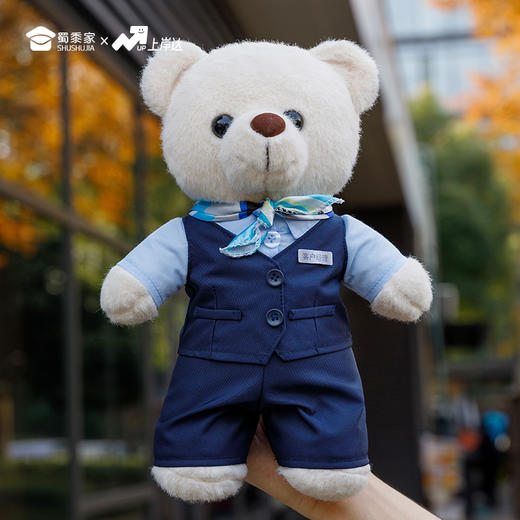 【银行职员站姿熊】可定制创意毛绒职业小熊公仔儿童玩具服装可脱送礼礼物 商品图7