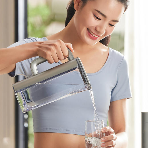 飞利浦（PHILIPS）ADD8606 ADD8600冰块净水器  6L原水箱配件/纯水壶配件 商品图0