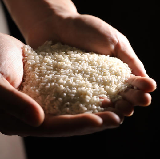 新疆羊脂籽米10斤装 2025年新米羊脂籽米家庭装 大米胚芽米 商品图4