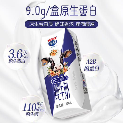 多鲜A2β-酪蛋白纯牛奶礼盒装250ml*10盒*1箱 商品图2