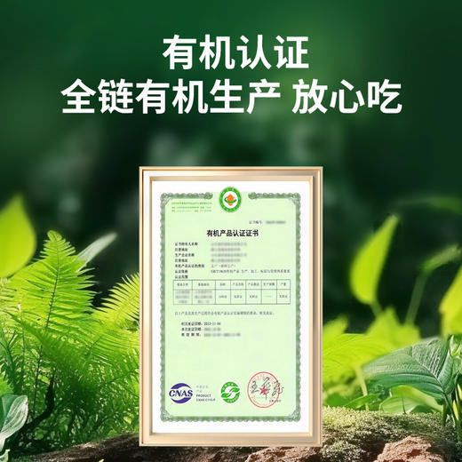 时令堂 有机莲子（干）400g罐装 商品图3