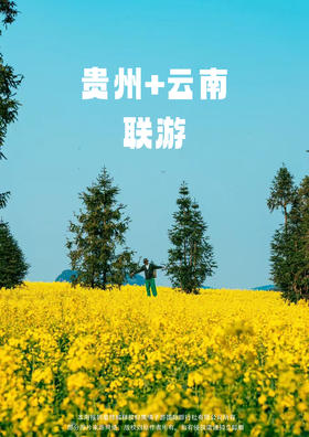 【赏昆黔景】贵州+云南 联游双动7天