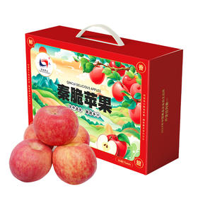 【秦脆苹果】陕西延安洛川新品种秦脆苹果20枚75mm中果水果礼盒