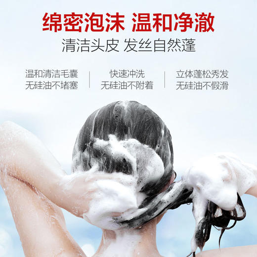 纪念日百货b2v红藻控油洗发水160713448 商品图1