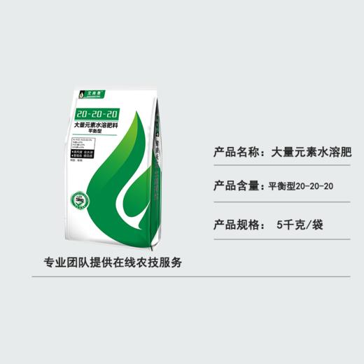 【肥料】20-20-20平衡型水溶肥（1箱4袋） 商品图3