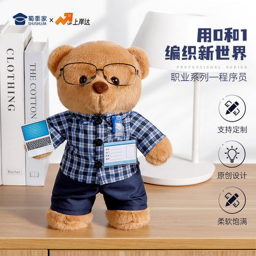 【程序员站姿熊】可定制创意毛绒职业小熊公仔儿童玩具服装可脱送礼礼物 商品图0