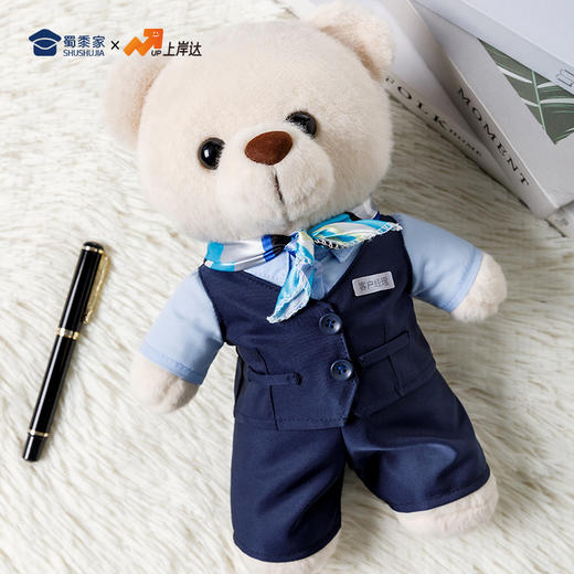 【银行职员站姿熊】可定制创意毛绒职业小熊公仔儿童玩具服装可脱送礼礼物 商品图9