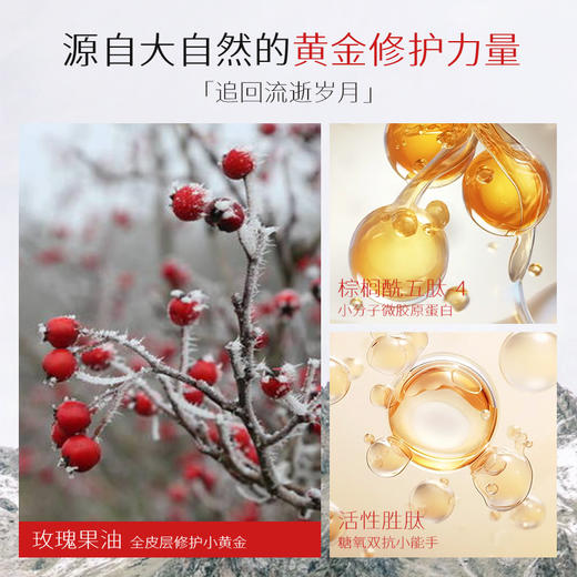 【跨境】Ausbelle 玫瑰果油胜肽面霜80g(赠:抗皱精华胶囊小样7粒/盒） 商品图5