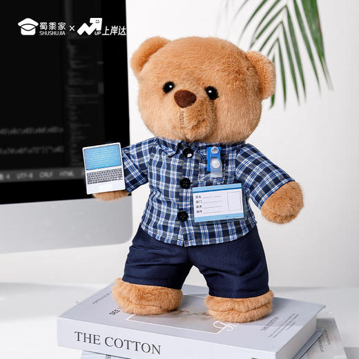 【程序员站姿熊】可定制创意毛绒职业小熊公仔儿童玩具服装可脱送礼礼物 商品图8