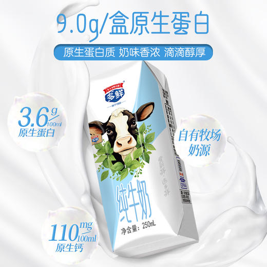 多鲜9.0g/盒原生蛋白纯牛奶250ml*10盒*1箱 商品图3