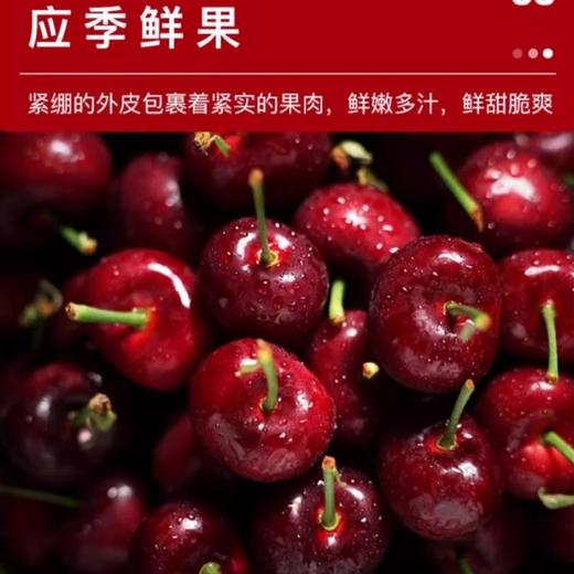 智利车厘子3J礼盒5斤装   品种斯基纳 商品图0