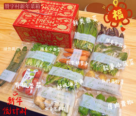 【发货+20元】丨团购·年货集【赞字村绿色有机蔬菜箱团圆年饭（家庭版）】丨火爆预售188元/箱（10斤装）