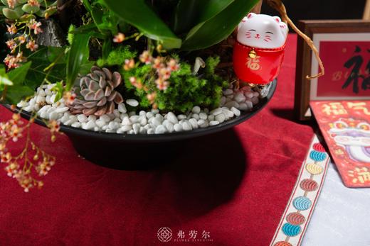 财源广进 商品图4