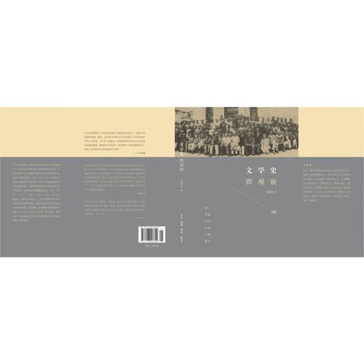 文学史微观察 李洁非  生活·读书·新知三联书店旗舰店 商品图2