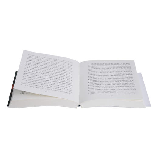 迷失在翻译中 在一种语言里新生的故事 伊娃·霍夫曼 著 三联书店 商品图1