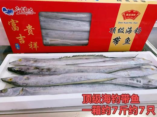 顶级海钓带鱼 商品图0