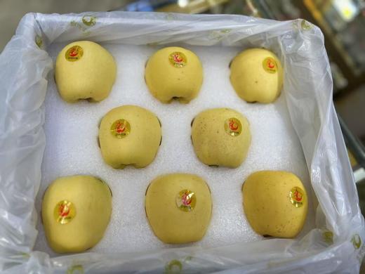 正宇黄金维纳斯苹果（8头特级果） 商品图1