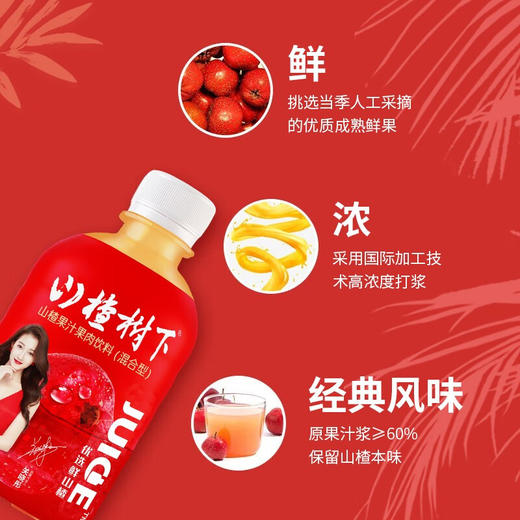 冠芳山楂树下山楂汁350ml*12瓶 商品图3