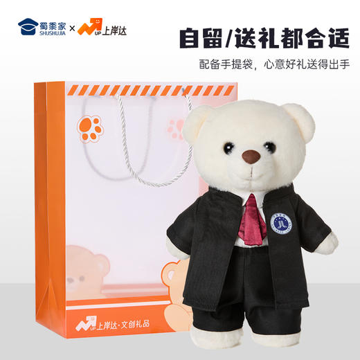 【律师站姿熊】可定制创意毛绒职业小熊公仔儿童玩具服装可脱送礼礼物 商品图5
