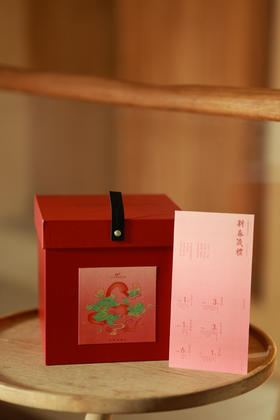 2025乙巳年新春礼