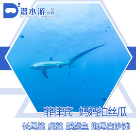 【度假村】 菲律宾妈妈岛 Malapascua 潜水套餐 - Sea Explorer