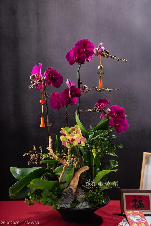 蒸蒸日上 商品图0