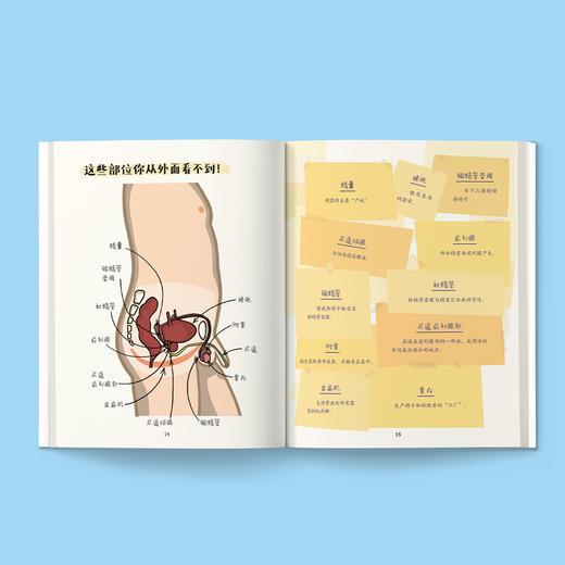 《精子有话说》 商品图2