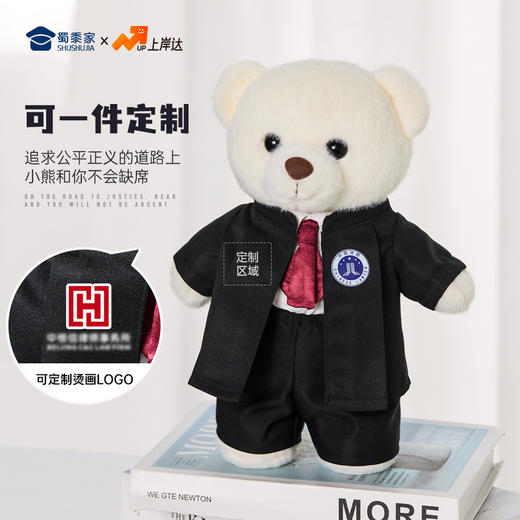 【律师站姿熊】可定制创意毛绒职业小熊公仔儿童玩具服装可脱送礼礼物 商品图1
