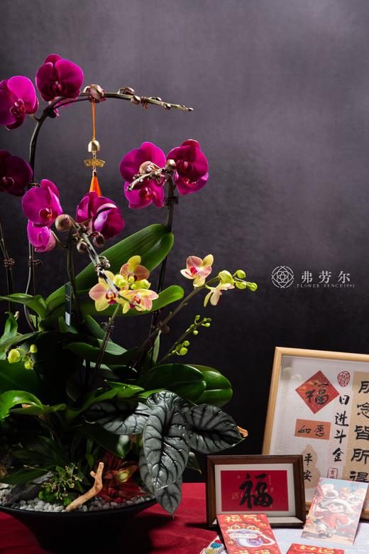 心想事成 商品图1