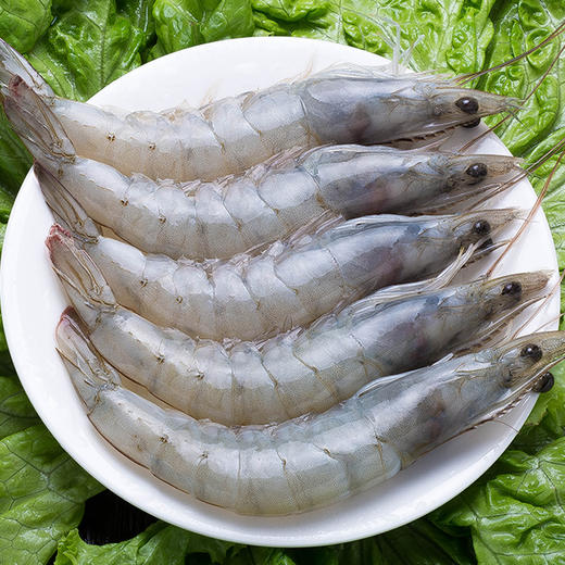 北海湾厄瓜多尔盐冻大虾 净重1.65kg/盒（30/40） 商品图6