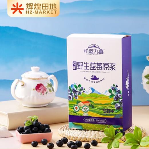 有机野生蓝莓原浆30ml*10袋/盒 商品图2