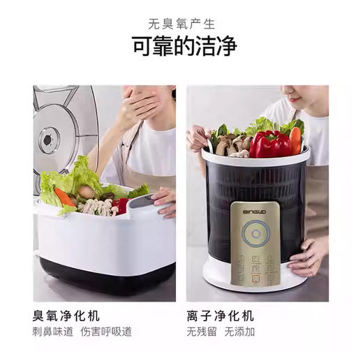 德国宾果全自动智能净化器果蔬清洗机BL1008【KGYL50.0】 商品图1