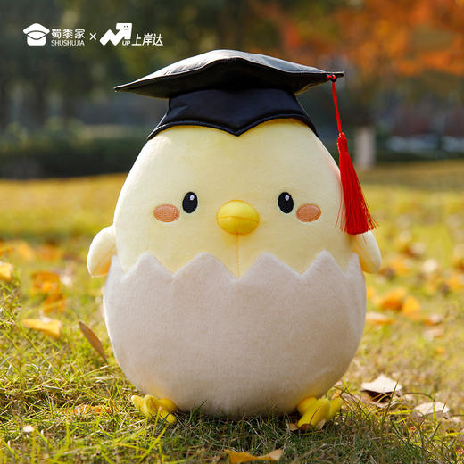 【毕业蛋公仔（可定制）】创意毛绒公仔摆件毕业送礼礼品礼物 商品图11