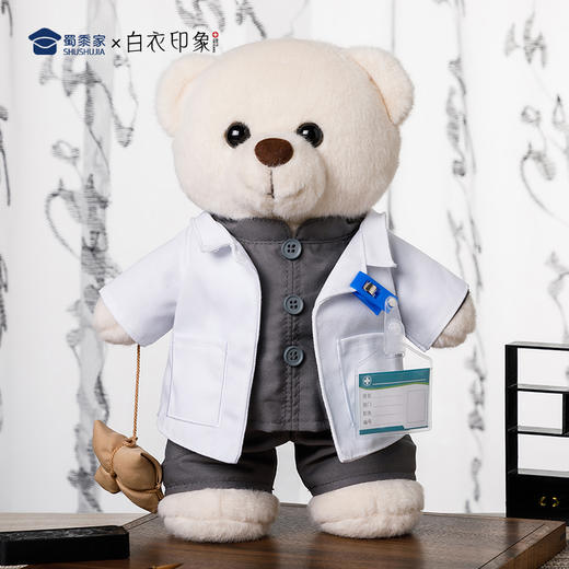 【中医小熊】可定制创意毛绒职业小熊公仔儿童玩具服装可脱送礼礼物 商品图9