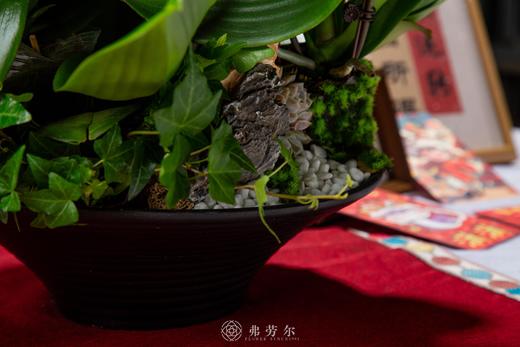 蒸蒸日上 商品图2
