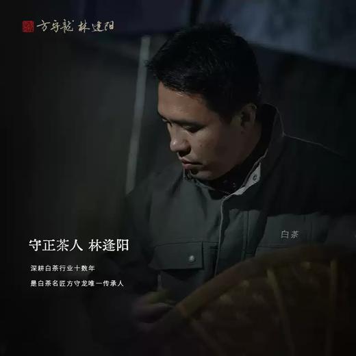方守龙白茶 2024年红霜叶 单叶冬茶福鼎白茶[官方旗舰压轴之作] 商品图3