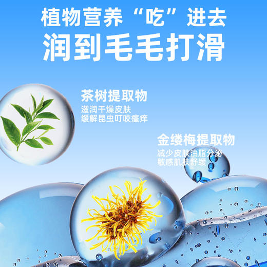 宝莱美露免洗手套10片装 加大加厚 可舔舐 宠物清洁工具批发 商品图3